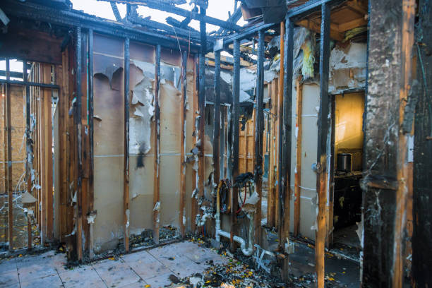 Professional Fire Damage Removal technician working in Farmers Branch, TX